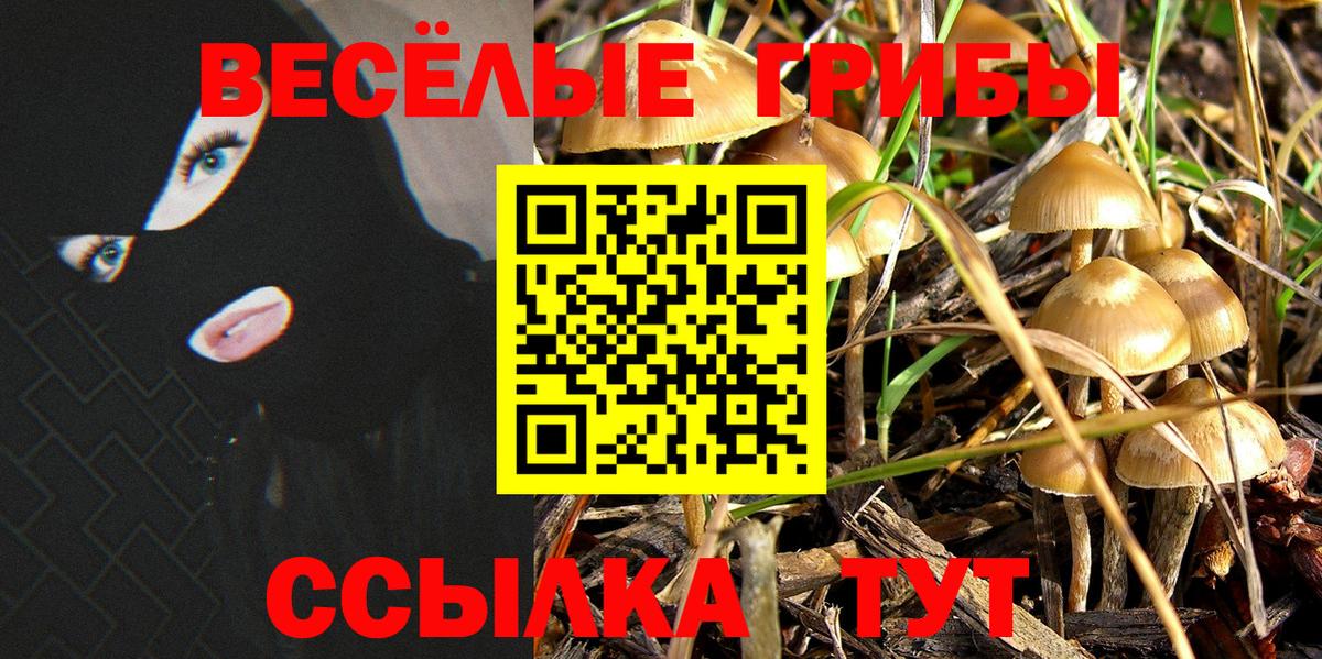 Псилоцибиновые грибы мухоморы  Вход с VPN  Анжеро-Судженск  Галлюциногенные грибы мухоморы 